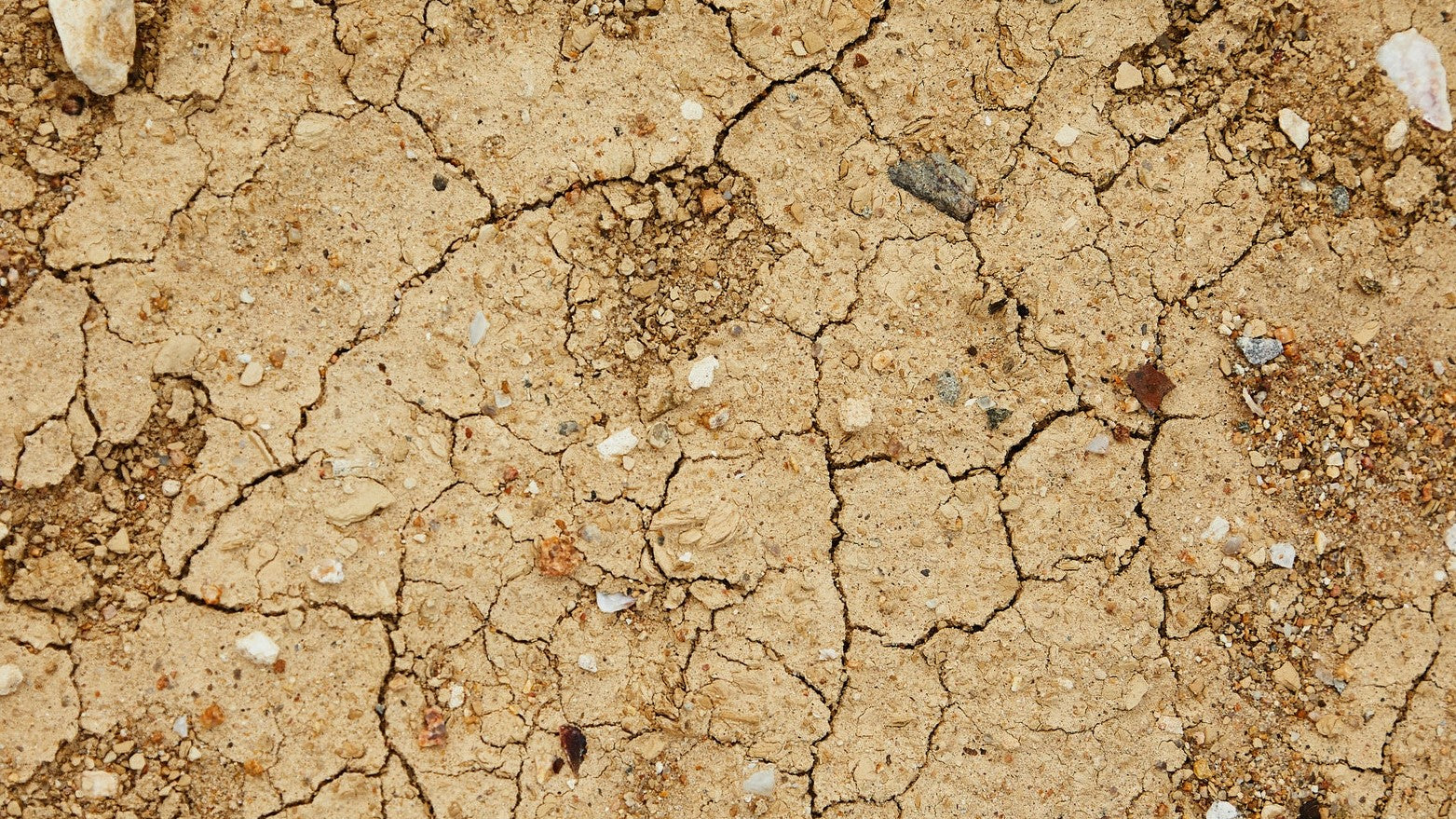 What are the skincare benefits of minerals and clays? - Pexel Image