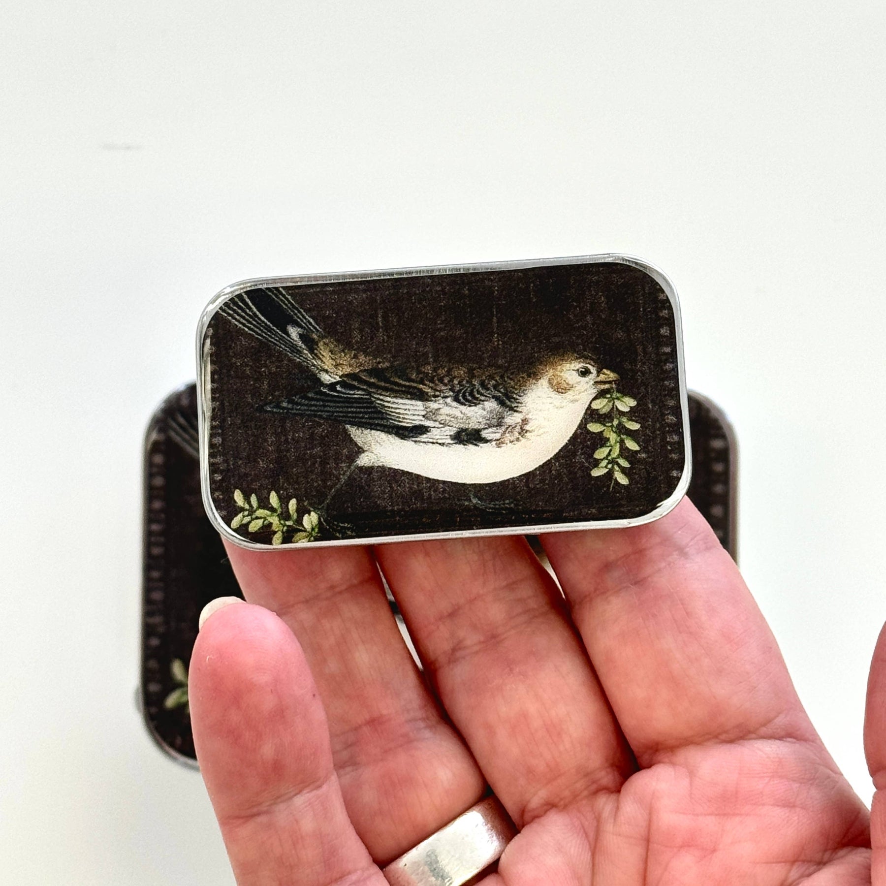A hand holding a small tin with a vintage illustration of a bird on the front, against a dark background with green leaves.