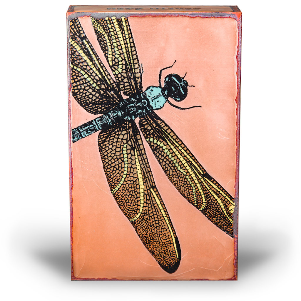 Houston Llew - Spiritile - 155 Ascent