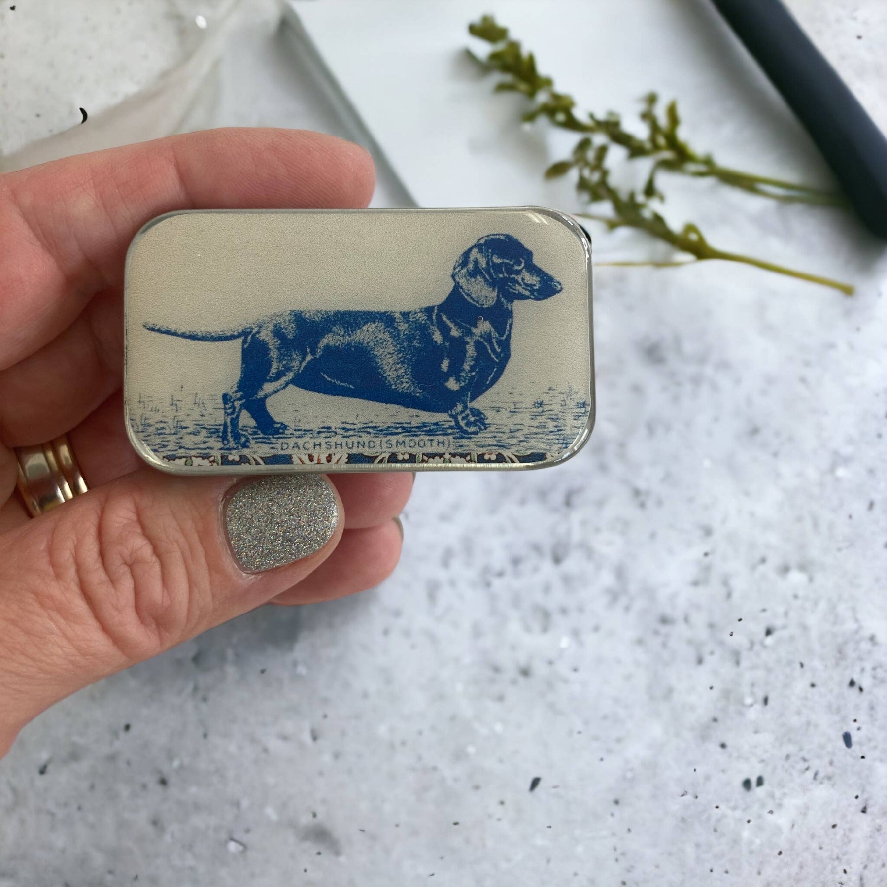A small rectangular tin with a vintage dachshund design, held in a hand with a manicured nail, against a background of a plant and a larger tin.