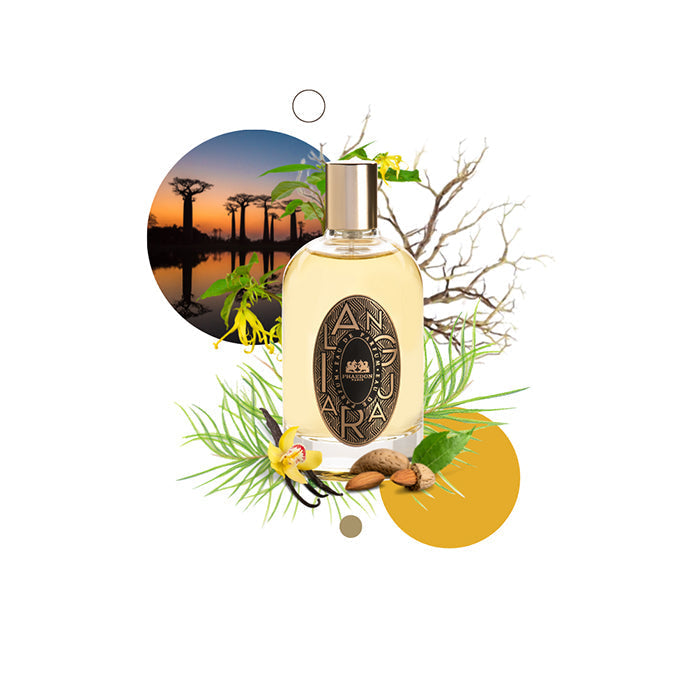 Phaedon Paris - Eau de Parfum Ilanguara