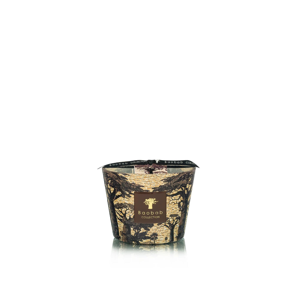 Candle in a decorative container with a tree design on a white background