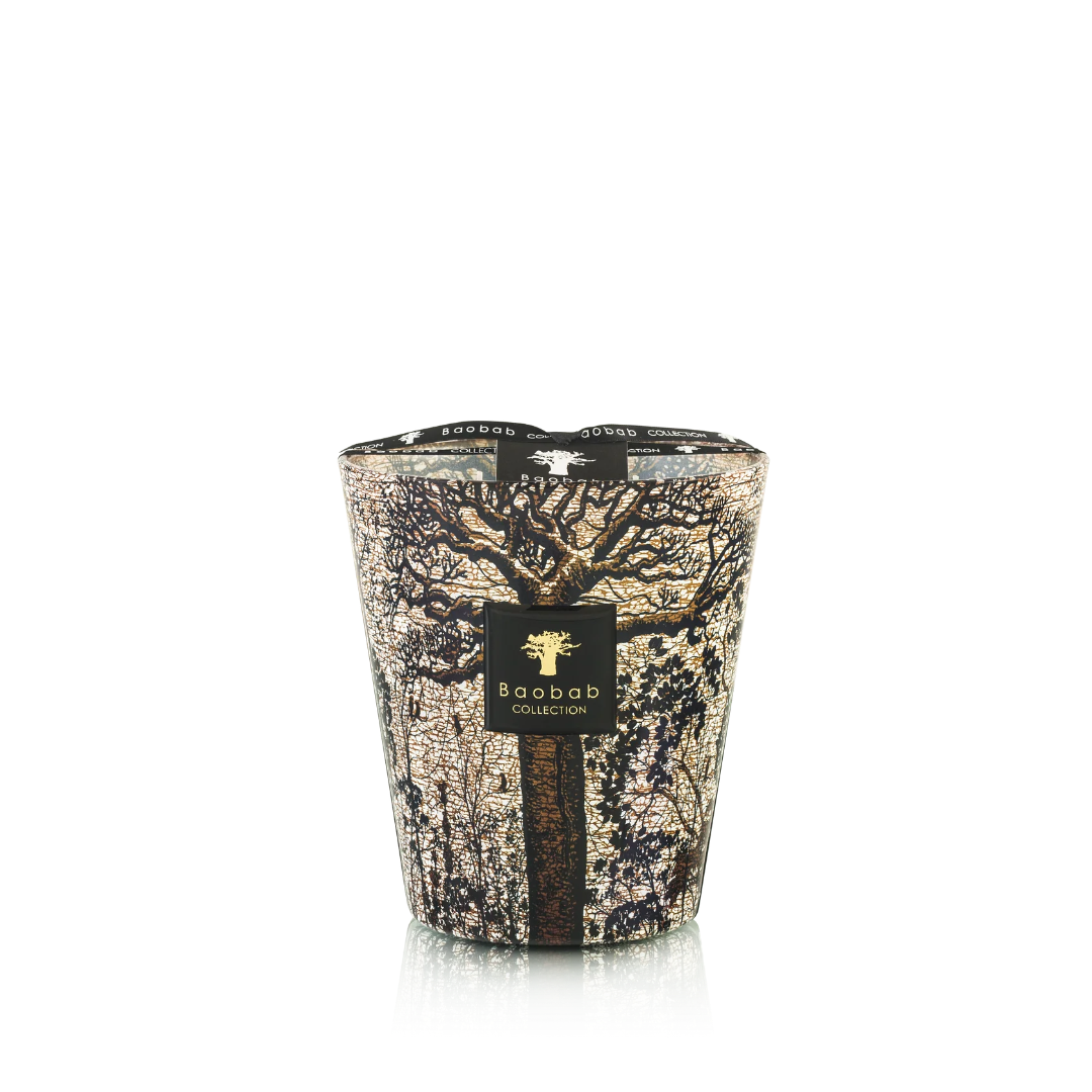 Collection Baobab - Arbres sacrés de Morondo