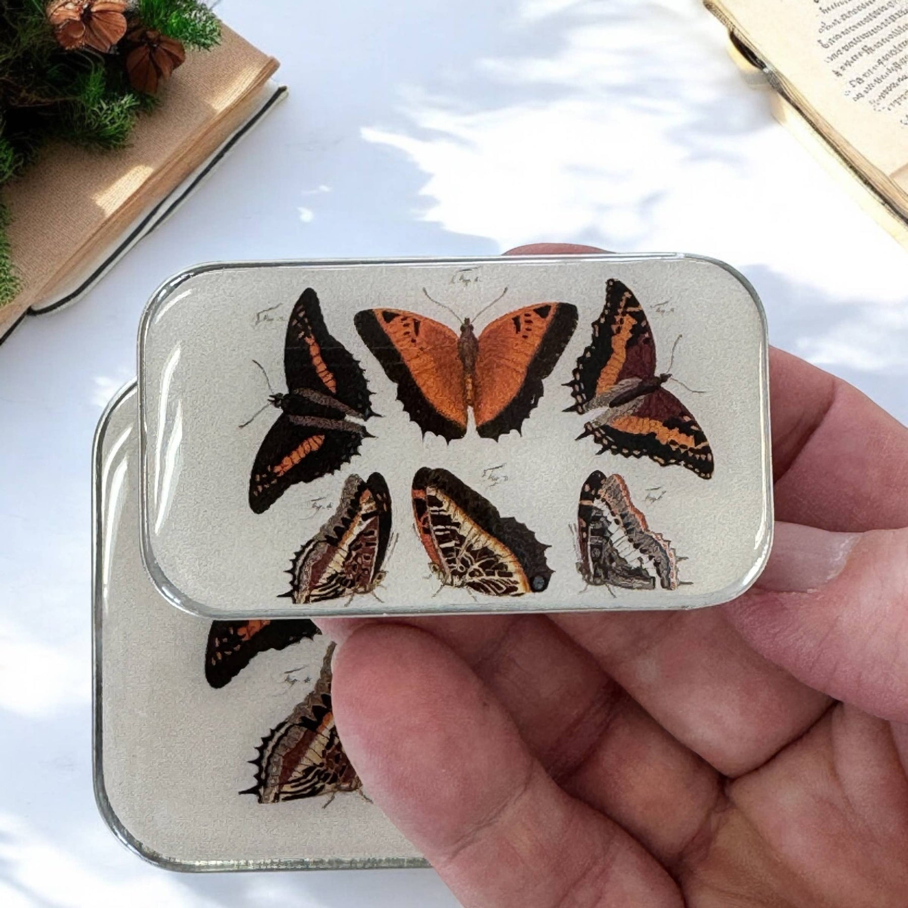Hand holding a small rectangular tin with butterfly illustrations on a light background
