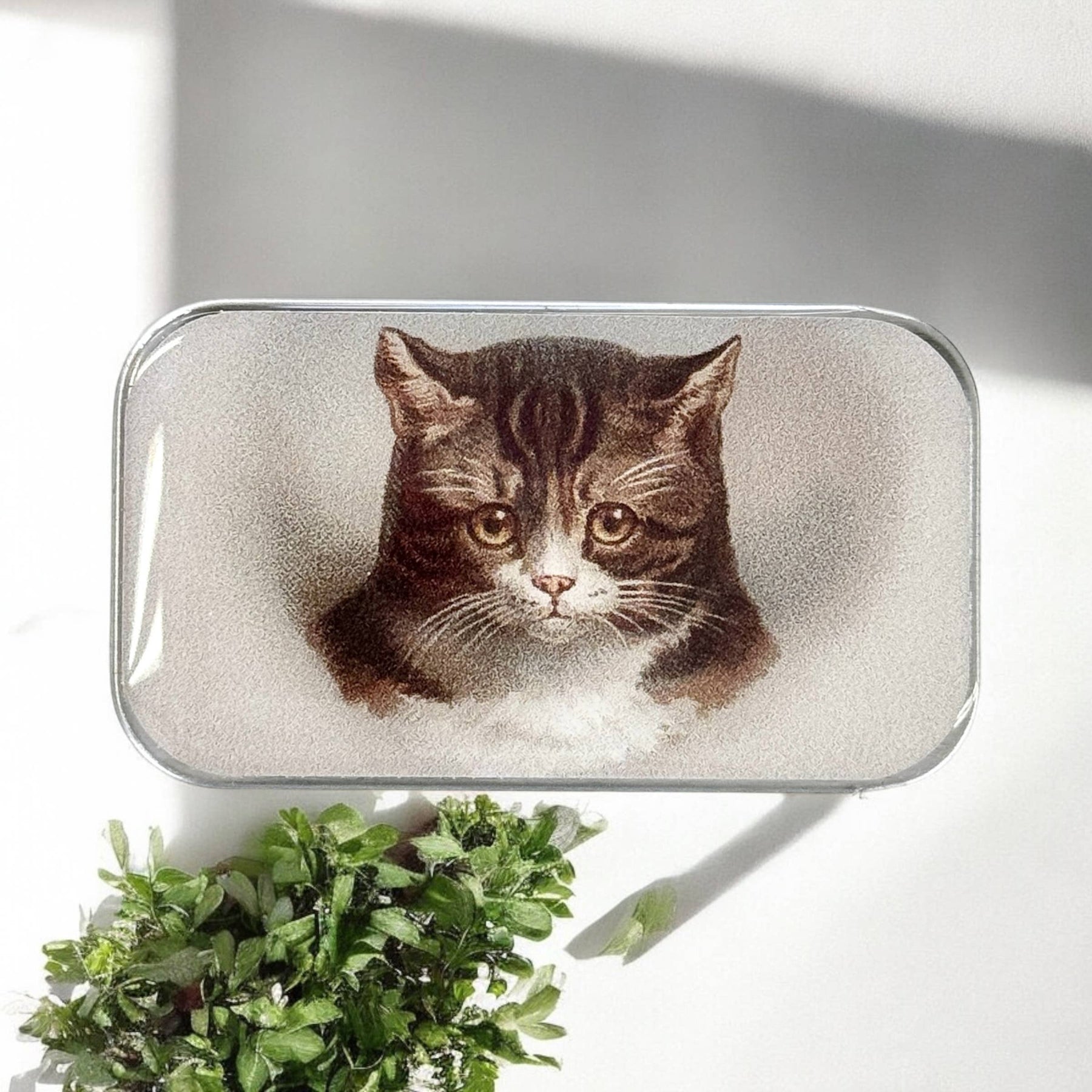 Rectangular tin with a cat illustration on a white background