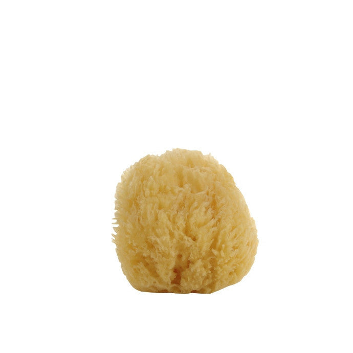 Natural Sea Sponge - Belle De Provence