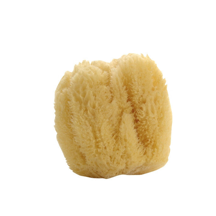 Natural Sea Sponge - Belle De Provence