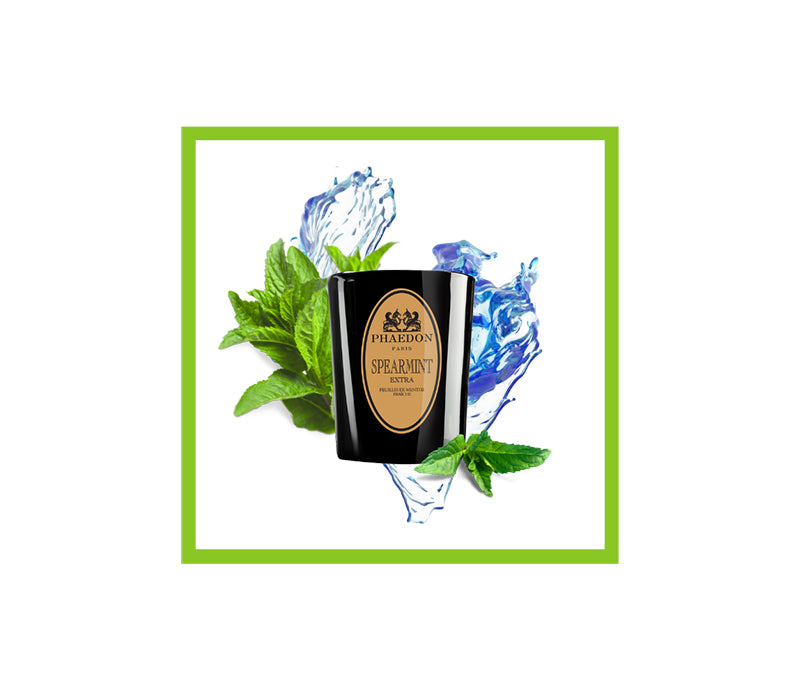 Bougie parfumée à la menthe verte 190g