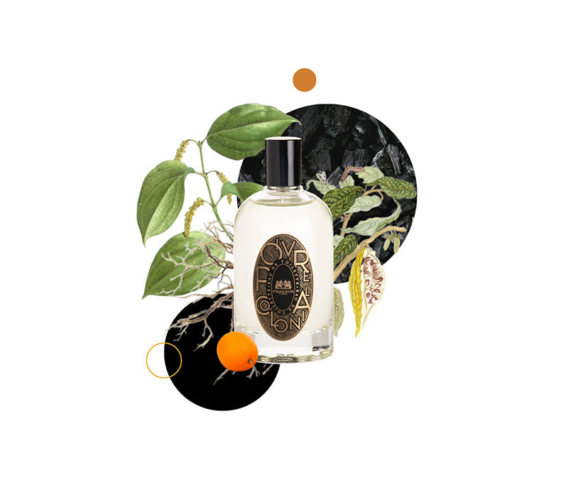 Phaedon Paris - Eau de Toilette Poivre Colonial