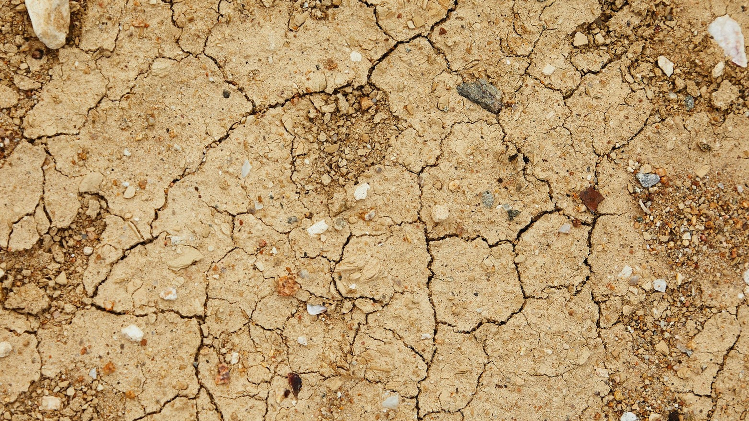 What are the skincare benefits of minerals and clays? - Pexel Image