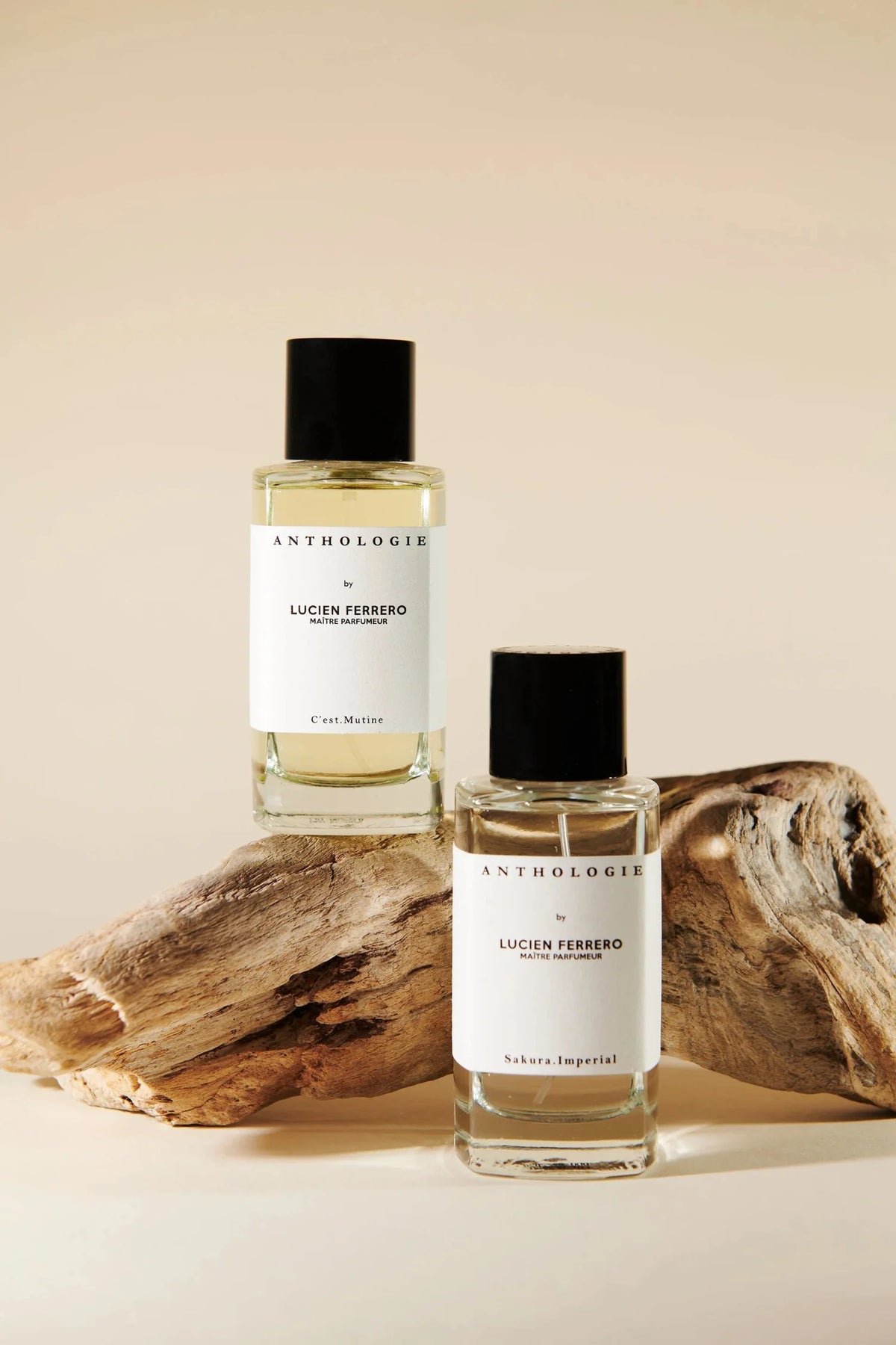 Lucien Ferrero Anthologie 香水(ユニセックス) 香水 Lucien Ferrero
