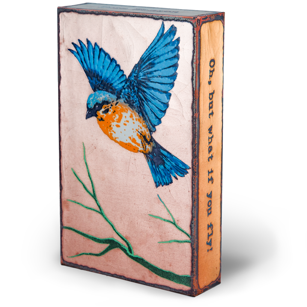 Houston Llew - Spiritile - 164 Take Off!