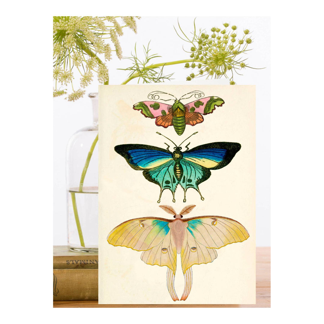 Butterfly Trio Whimsical Greeting Card
