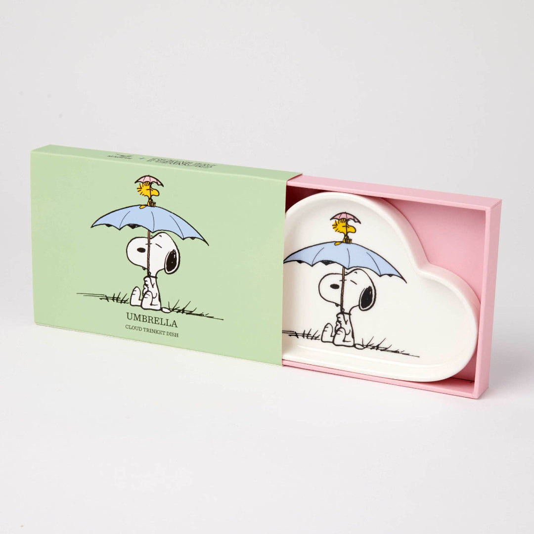 Cloud-shaped product with Snoopy design in a box on a light gray background