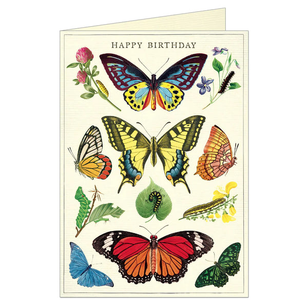 Butterflies 1 Greeting Card