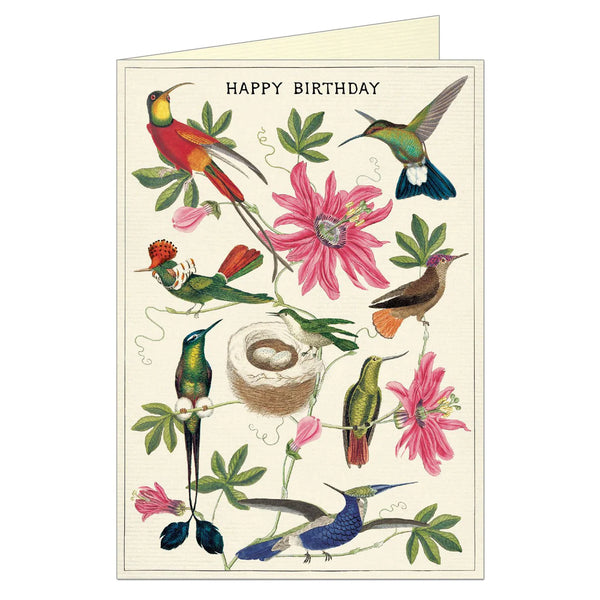 Happy Birthday Hummingbird Greeting Card