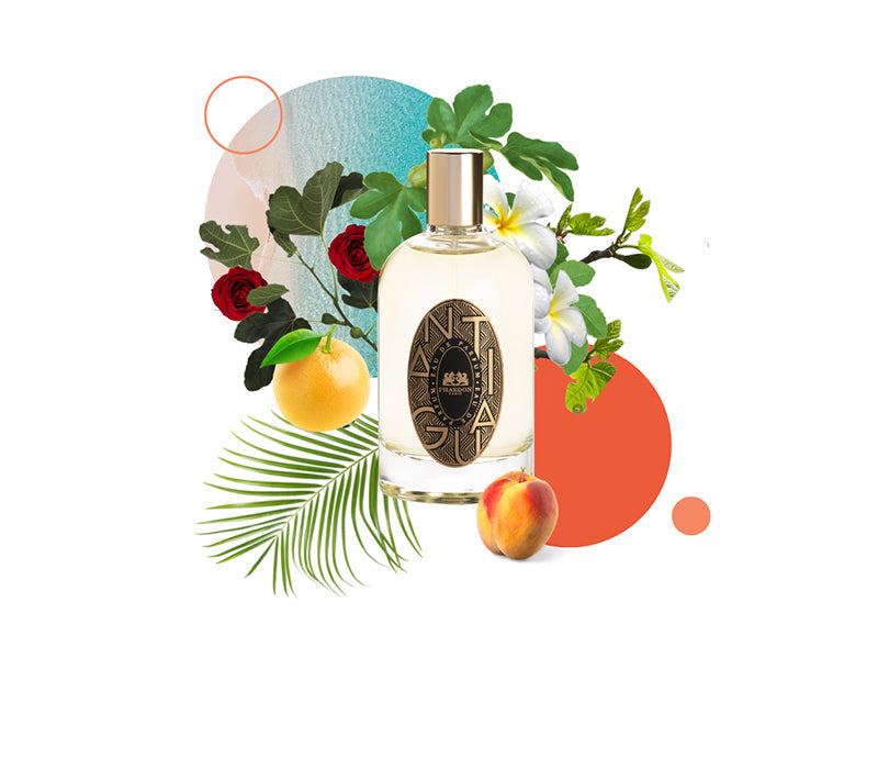 Phaedon Paris - Eau de Parfum Antigua