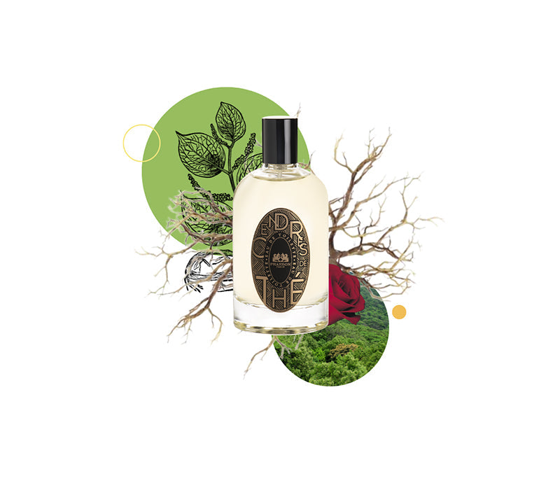 Phaedon Paris - Eau de Toilette Cendres de Thé