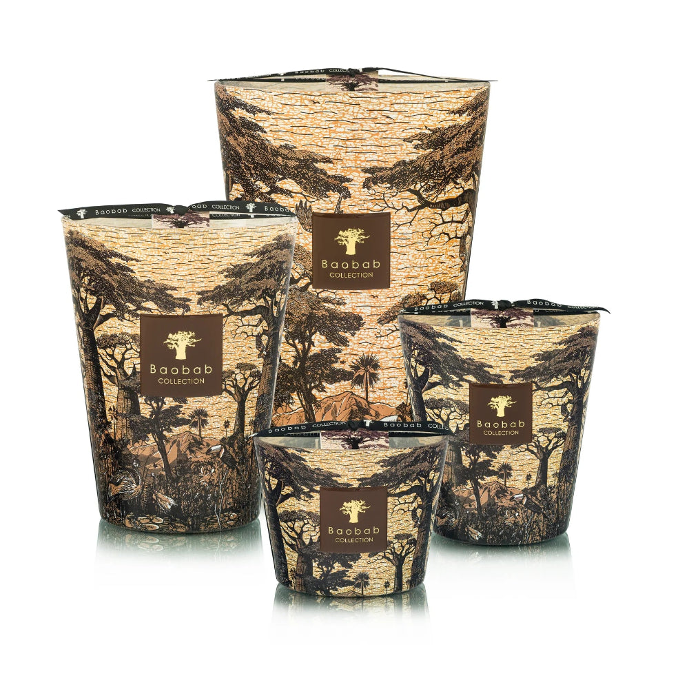 Baobab Collection - Sacred Trees Mankono Scented Candle