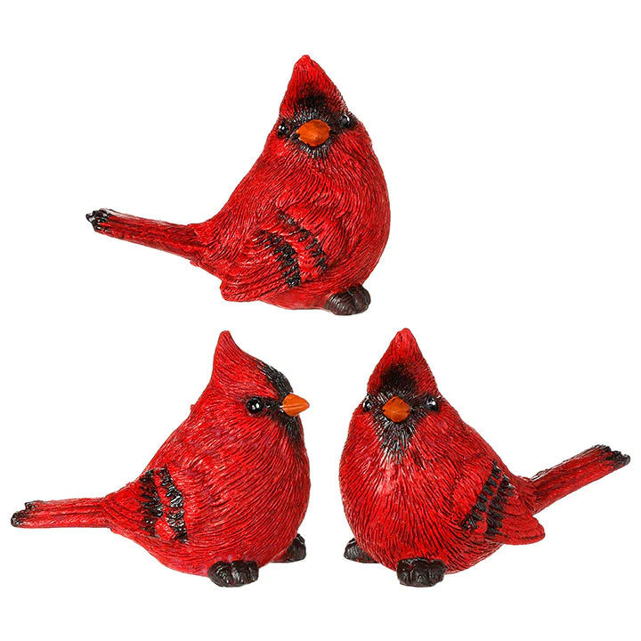 Small Cardinal
