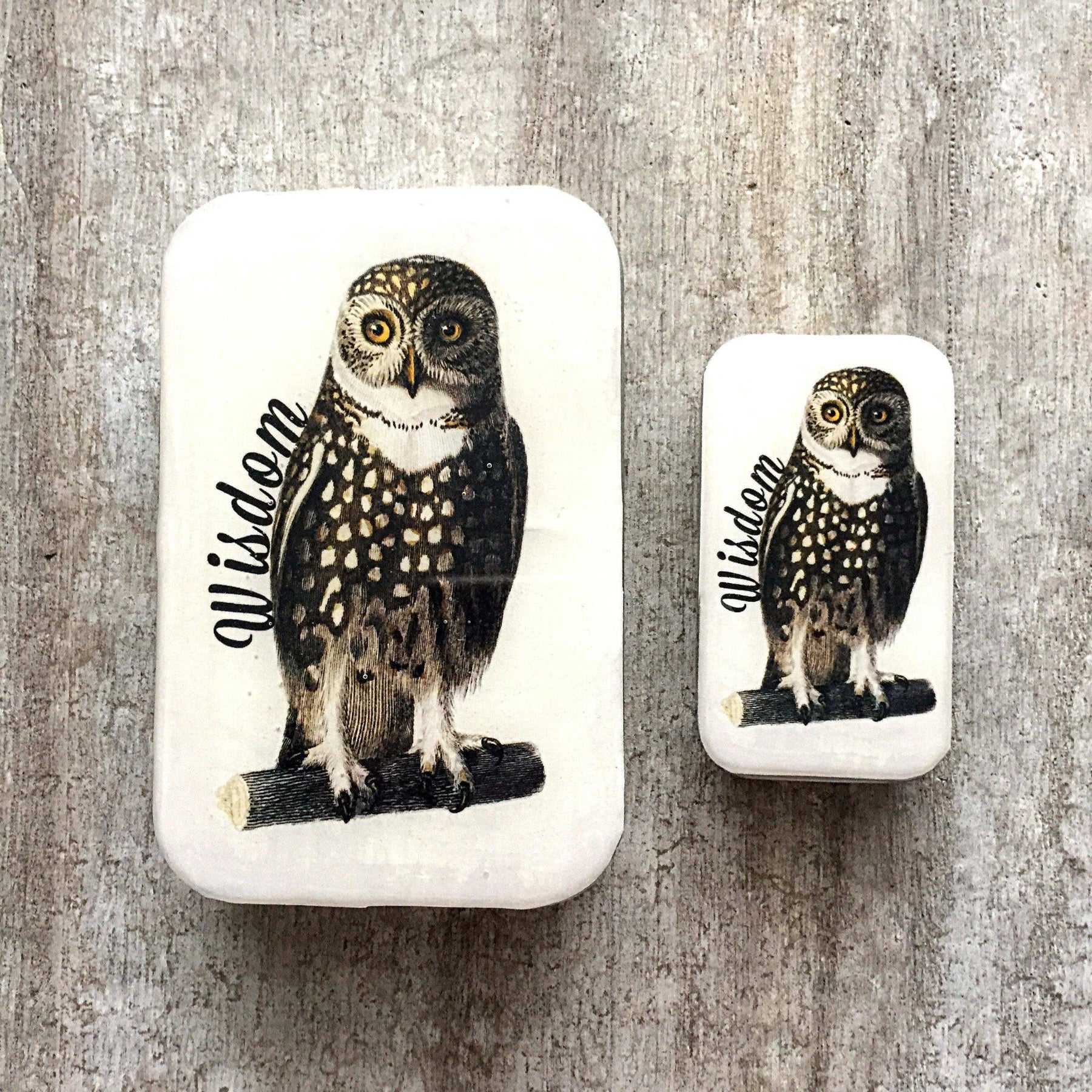 Two rectangular stones with owl illustrations and the word 'Wisdom' on a wooden surface.