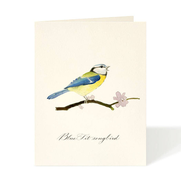 Blue Tit Songbird Everyday Card