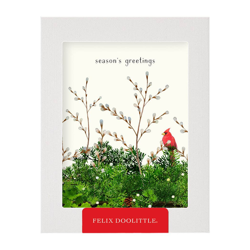 Cardinal and Evergreen - Boxed Holiday Greeting Cards