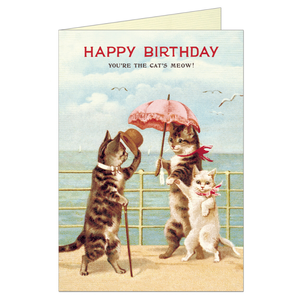 Happy Birthday Cats Greeting Card - Belle De Provence