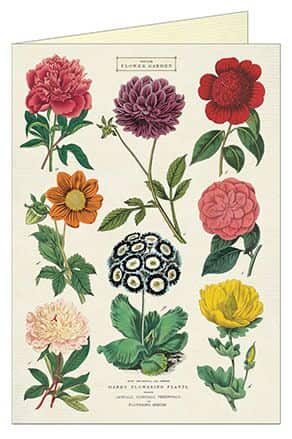 Botanica Card