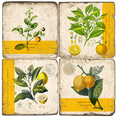 Lemon Botanicals Marble Coasters - Belle De Provence