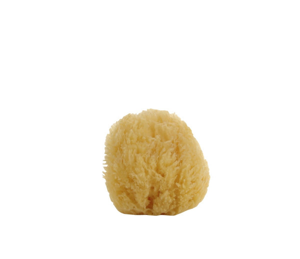 Natural Sea Sponge - Belle De Provence