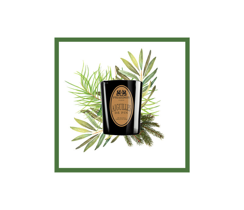 Phaedon Paris - Aiguilles de Pin Scented Candle 190g