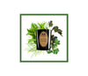 Menthe et Figuier Scented Candle 190g