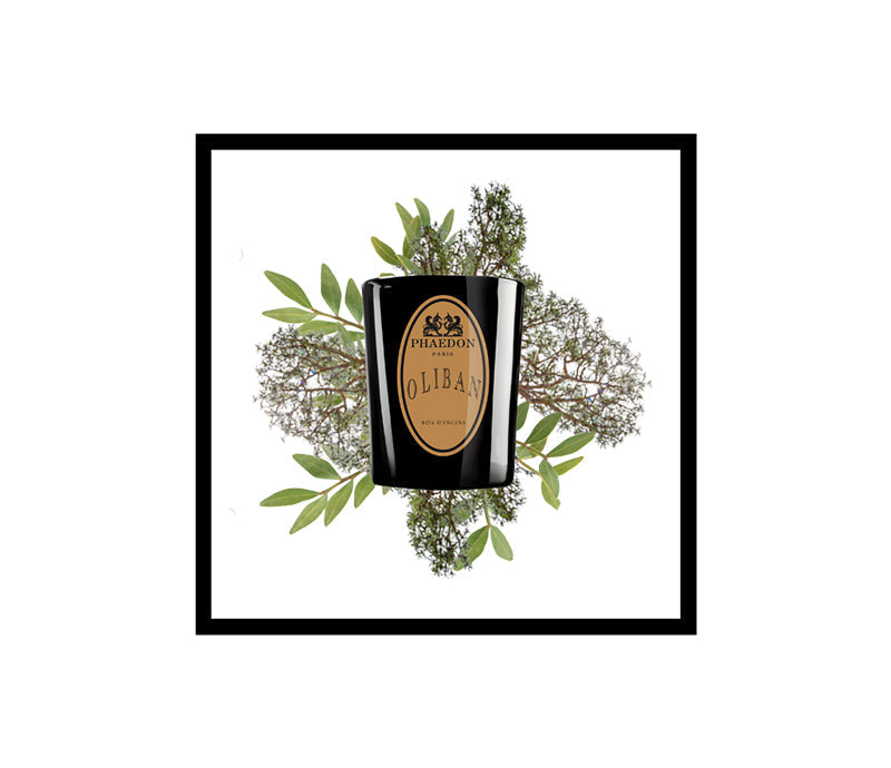 Phaedon Paris - Oliban Scented Candle 190g
