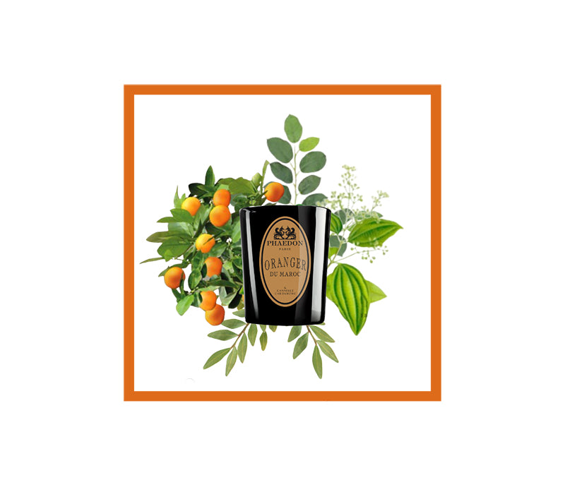 Phaedon Paris - Oranger du Maroc Scented Candle 190g