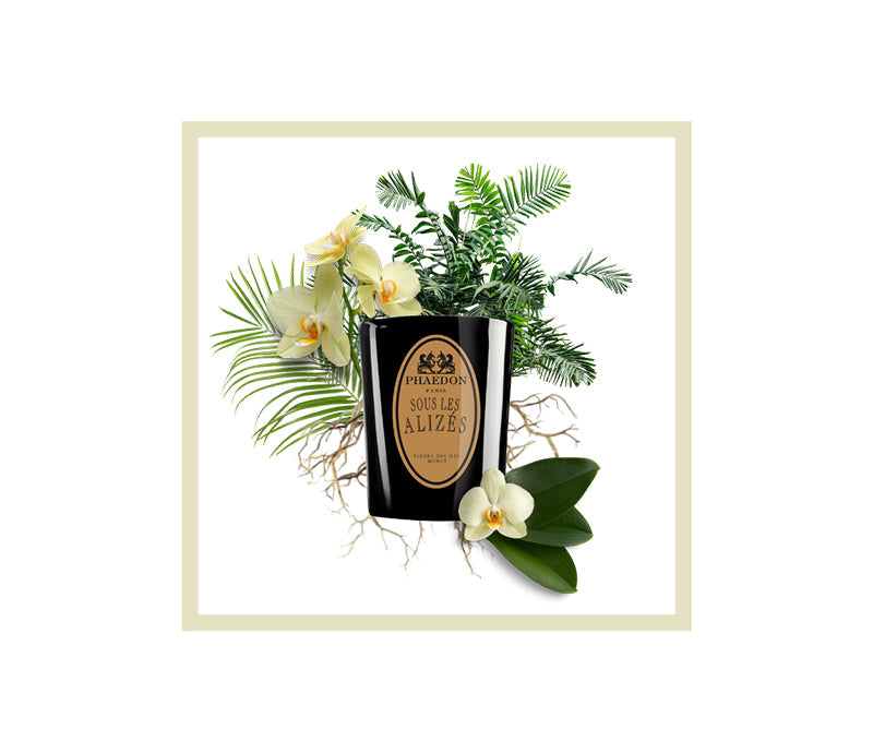 Phaedon Paris - Sous les Alizés Scented Candle 190g