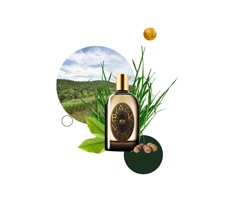 Phaedon Paris - Eau de Parfum Black Vétiver