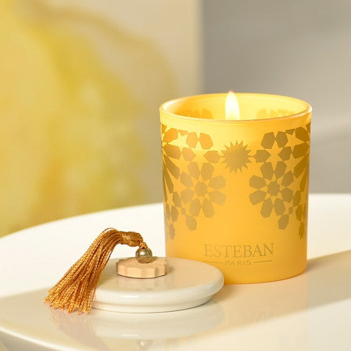 Amber Decorative Scented Candle - Belle De Provence