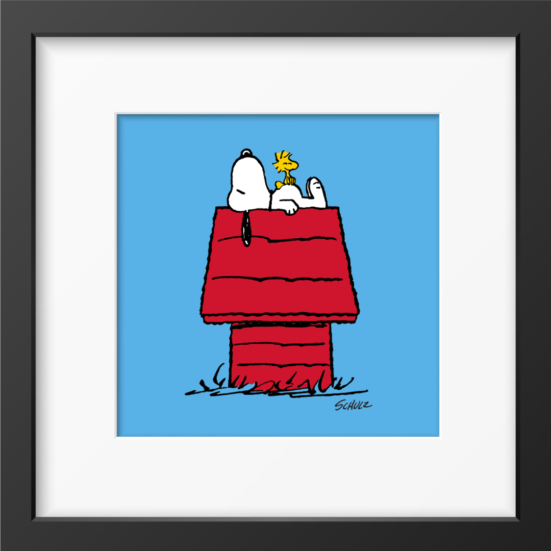 Magpie - Peanuts House Framed Print Handmade