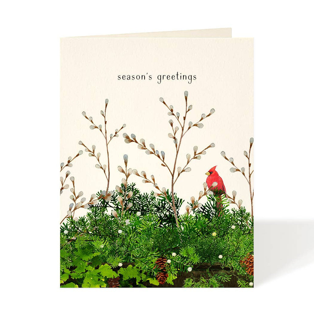 Cardinal and Evergreen - Holiday Greeting Card