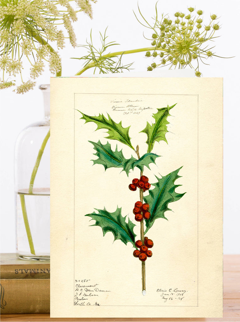 Christmas Holly Card