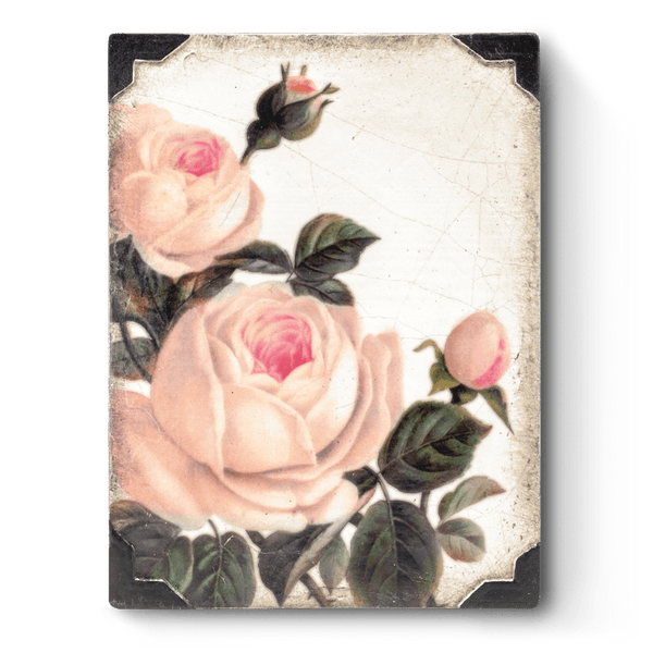 Sid Dickens - T464 Gentle Rose - Belle De Provence