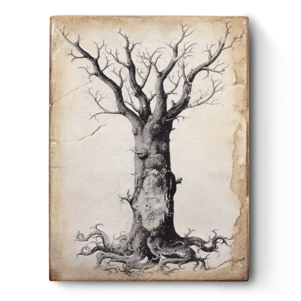 Sid Dickens - T125 Medieval Tree of Life - Belle De Provence
